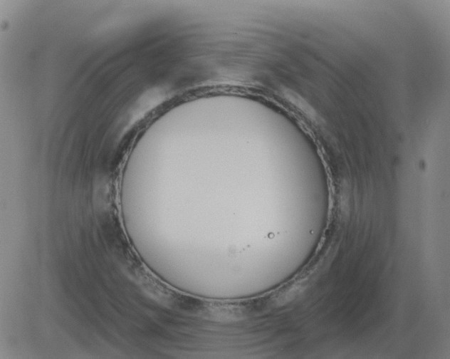 X0000083531258200702161903