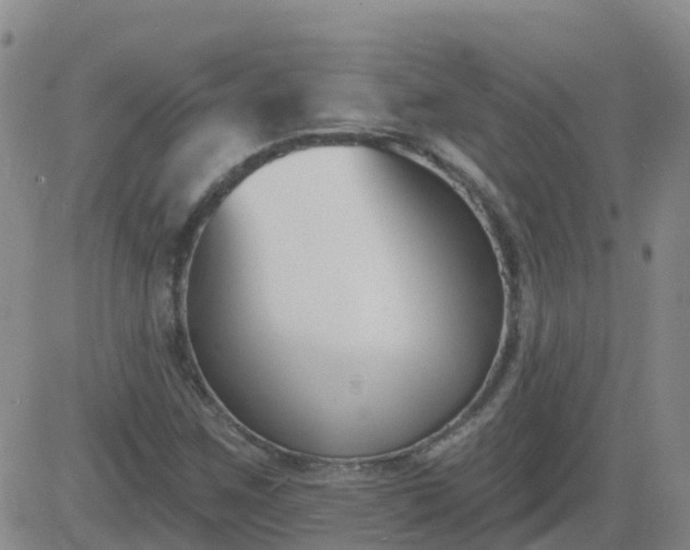 X0000083531259200702161903