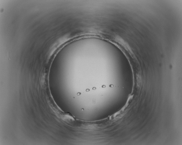 X0000083531260200702161903