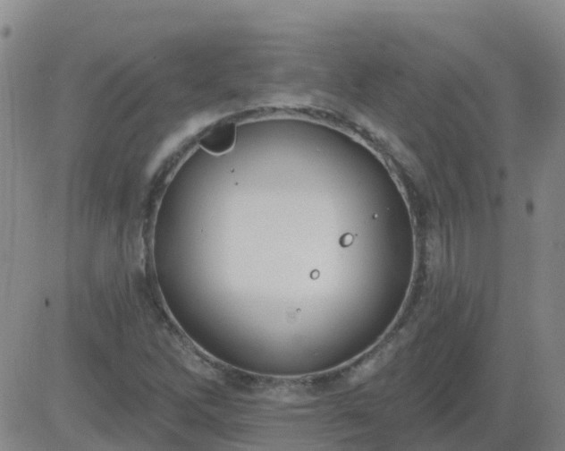 X0000083531262200702161903