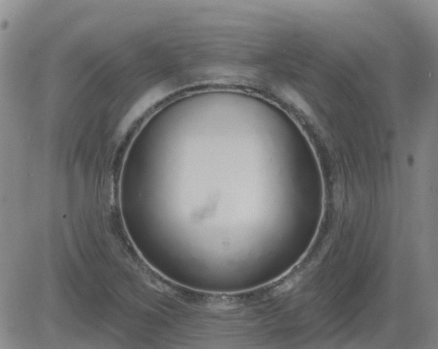 X0000083531267200702161903