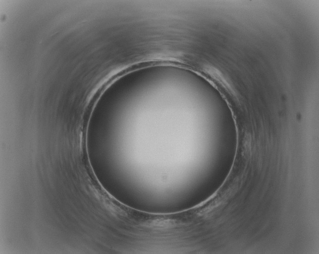 X0000083531268200702161903