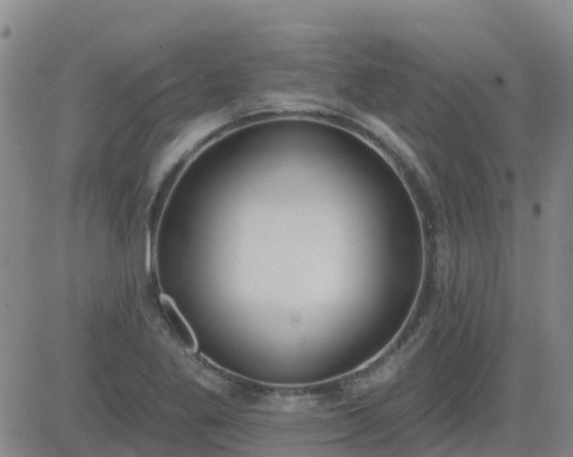 X0000083531269200702161903