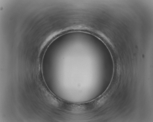 X0000083531270200702161903