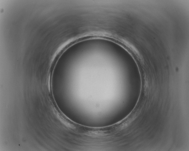 X0000083531272200702161903