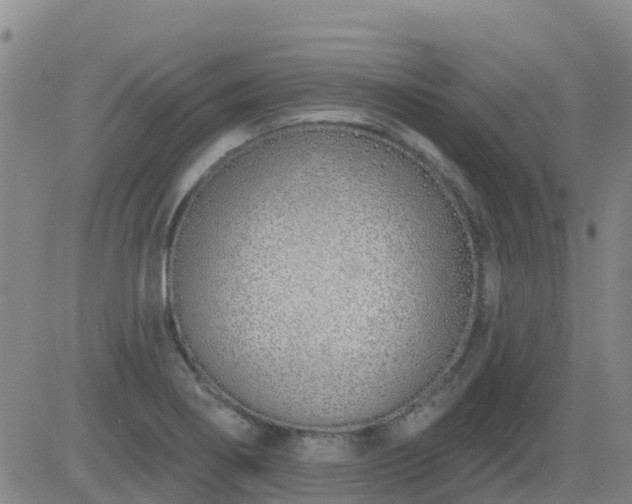 X0000083531274200702161903