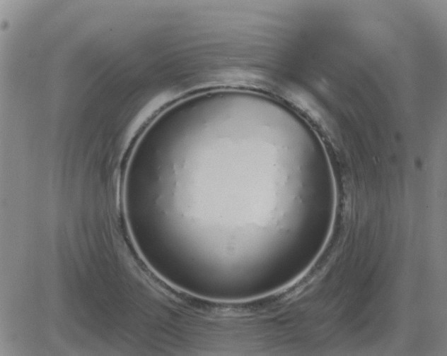 X0000083531275200702161903