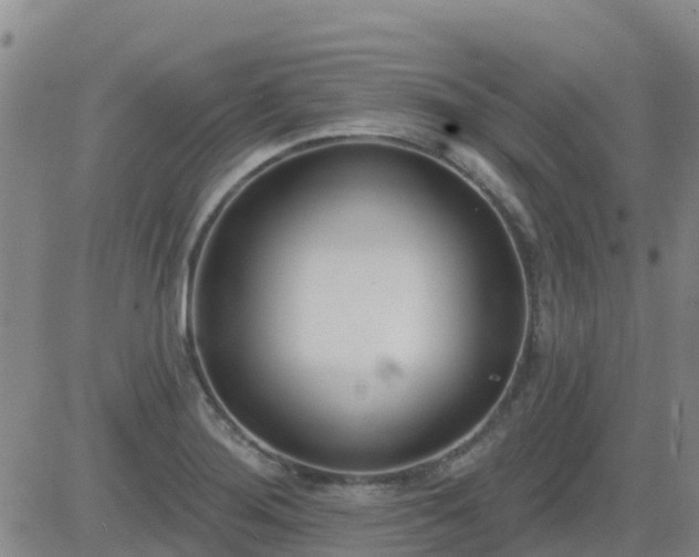 X0000083531276200702161903