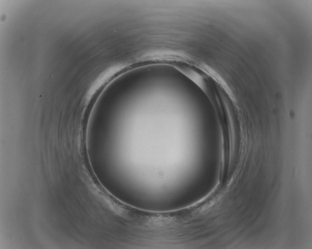 X0000083531277200702161903