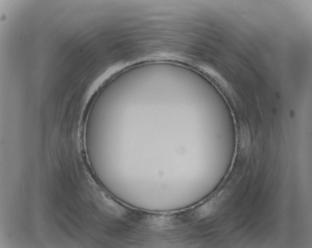 X0000083531278200702161903