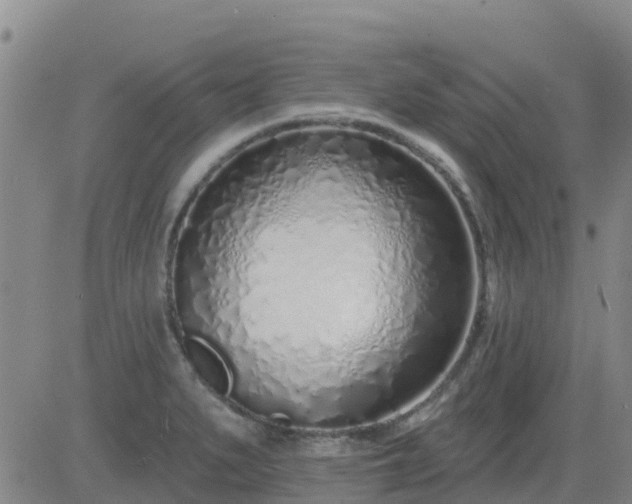 X0000083531279200702161903