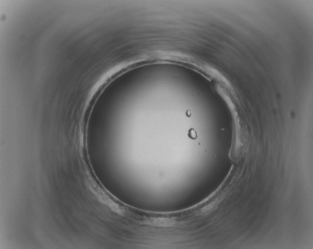 X0000083531280200702161903