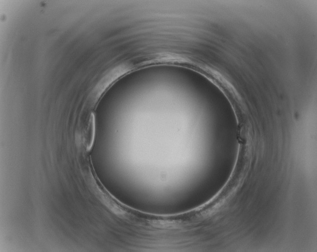 X0000083531281200702161903