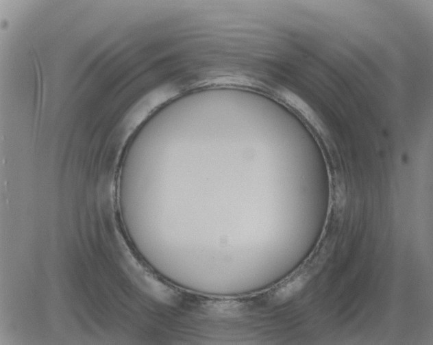 X0000083531282200702161903