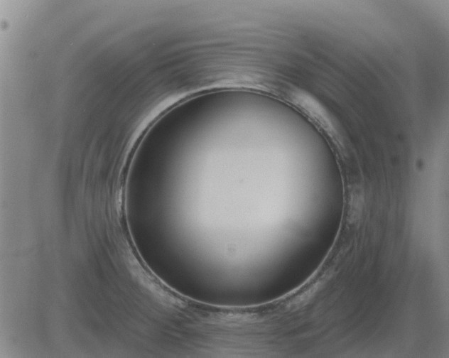 X0000083531284200702161903