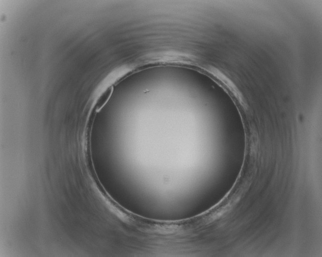 X0000083531285200702161903