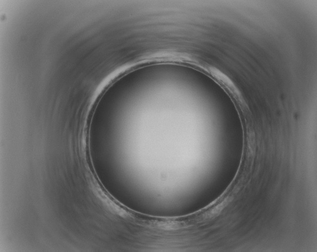 X0000083531288200702161903