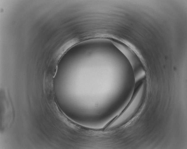 X0000083531289200702161903