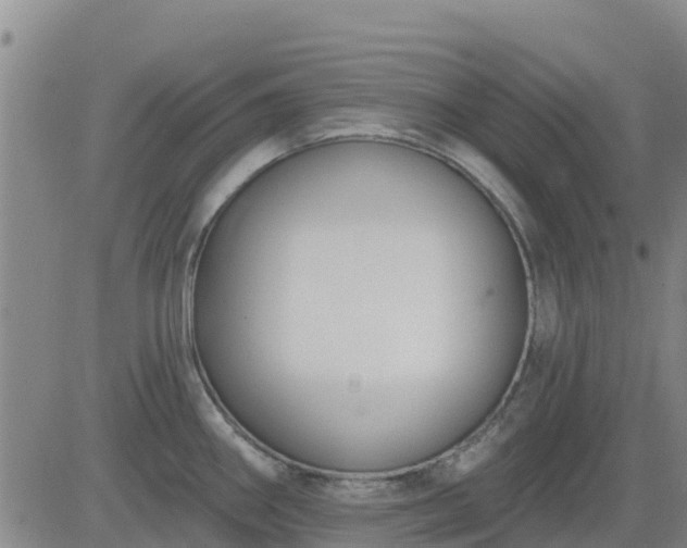 X0000083531290200702161903