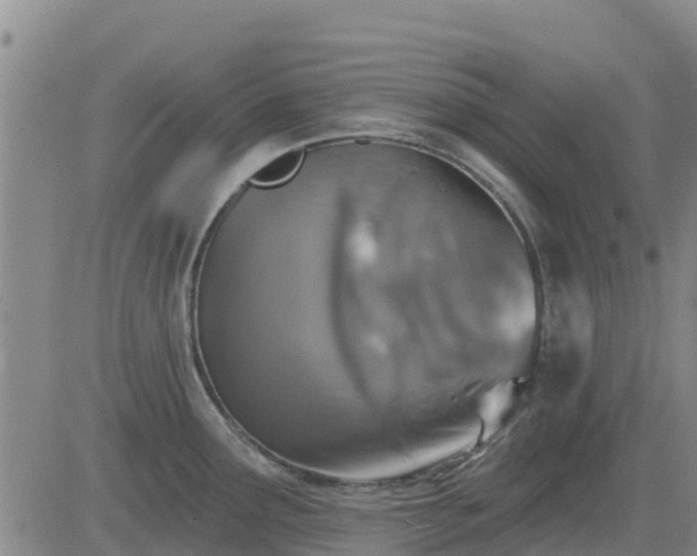 X0000083531291200702161903