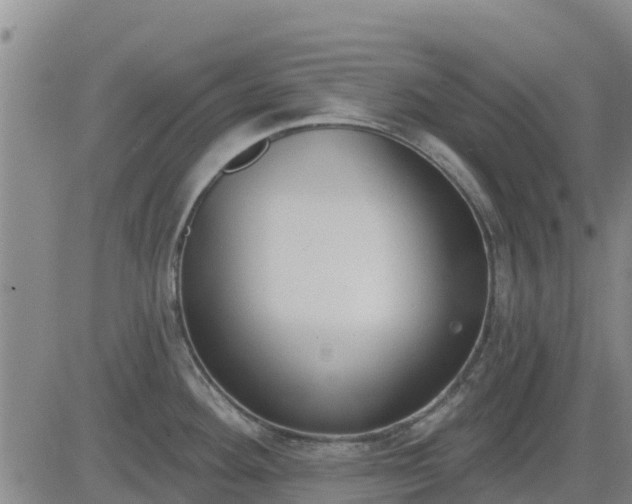 X0000083531292200702161903