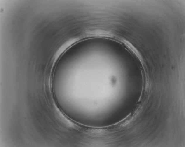 X0000083531293200702161903