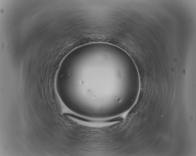 X0000083531297200702161902