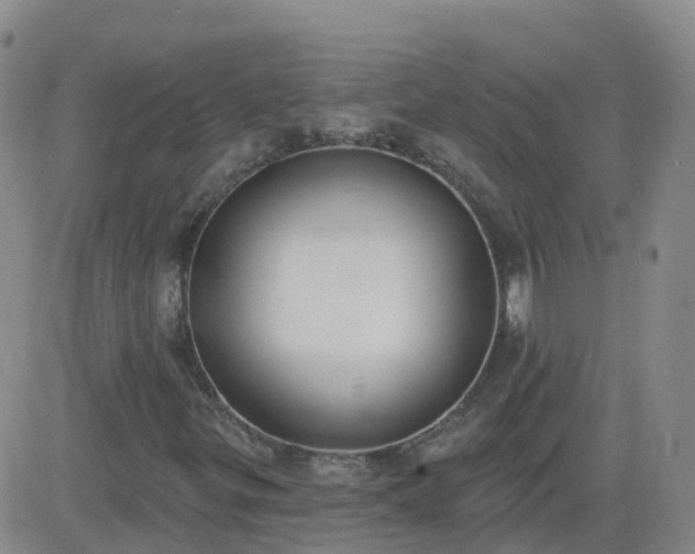 X0000083531299200702161902