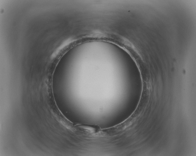 X0000083531304200702161902