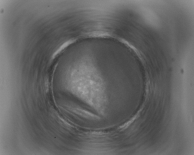 X0000083531306200702161902