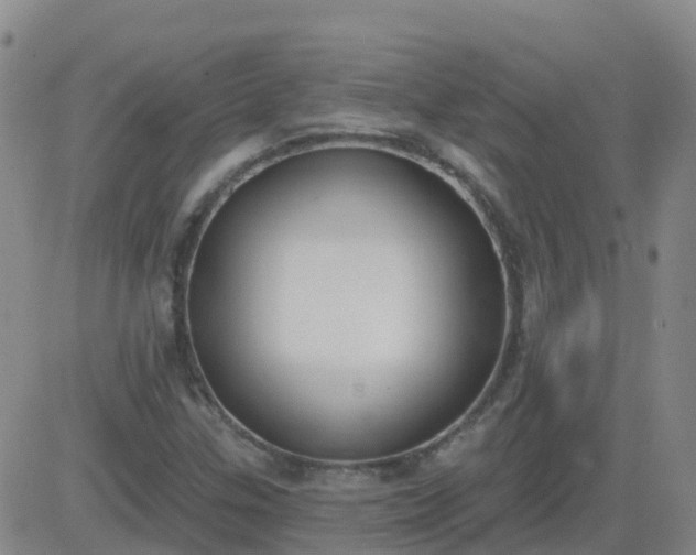 X0000083531307200702161902