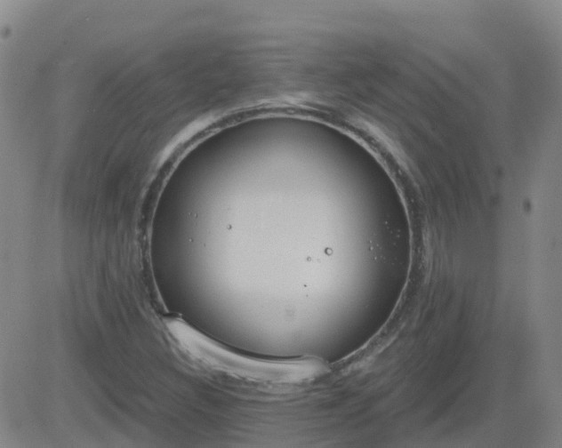 X0000083531308200702161902