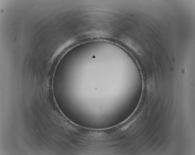 X0000083531309200702161902