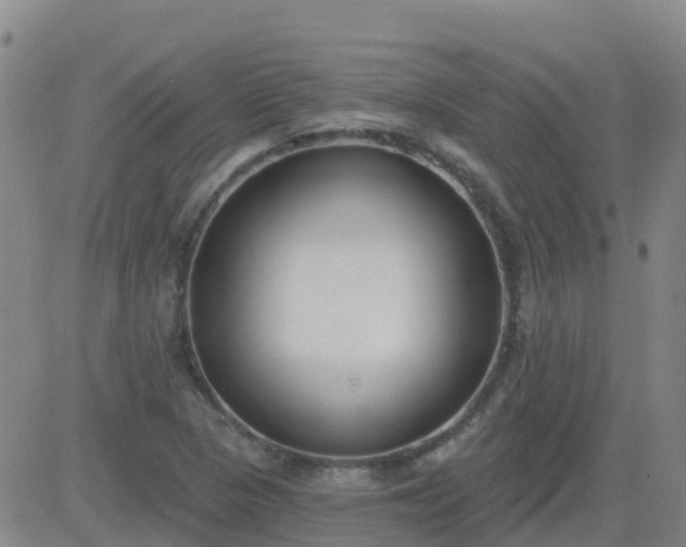 X0000083531313200702161902