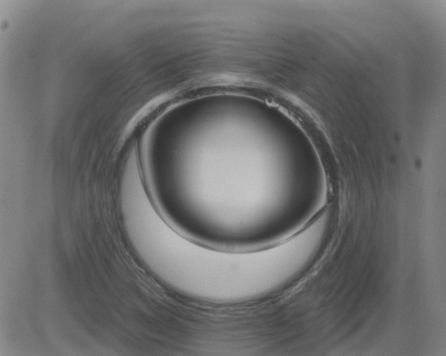 X0000083531314200702161902