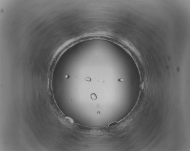 X0000083531316200702161902