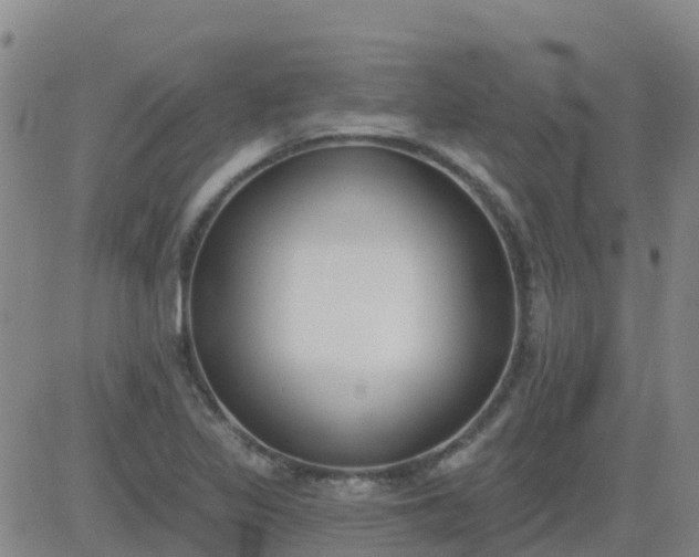 X0000083531317200702161902