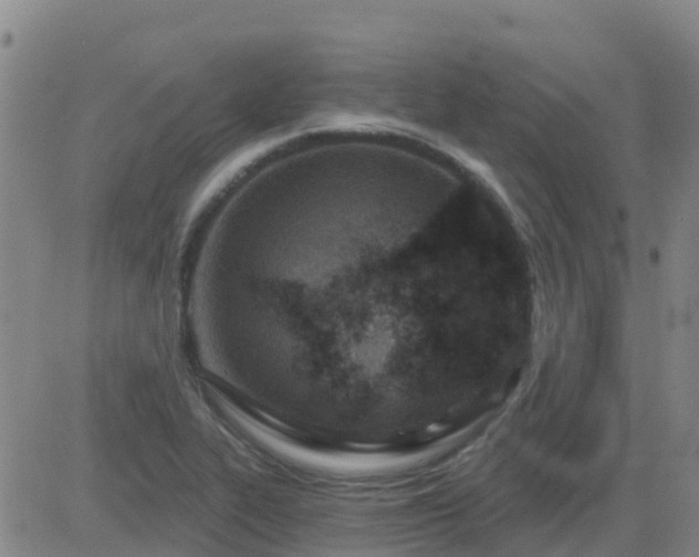 X0000083531319200702161902