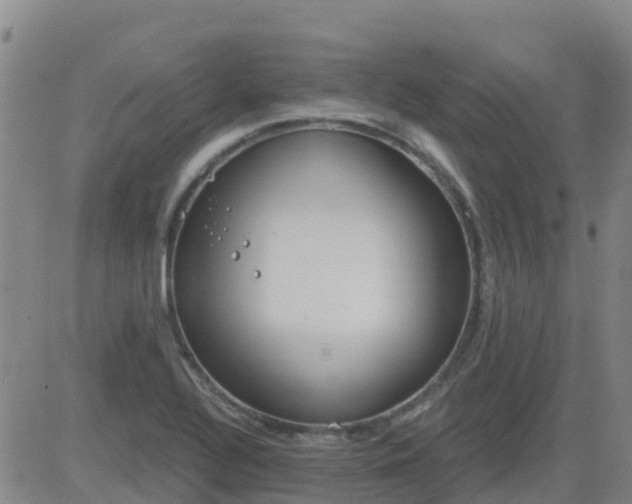 X0000083531320200702161902