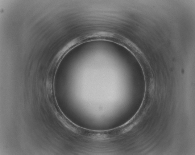 X0000083531321200702161902