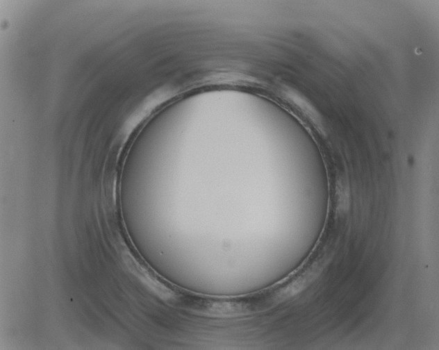 X0000083531322200702161902