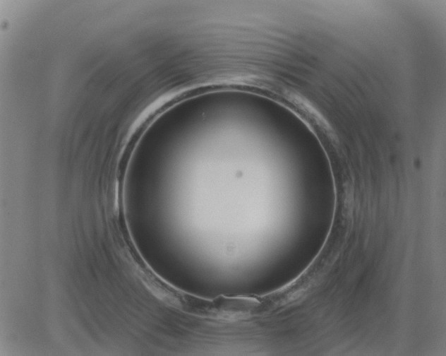 X0000083531324200702161902