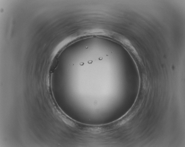 X0000083531328200702161902