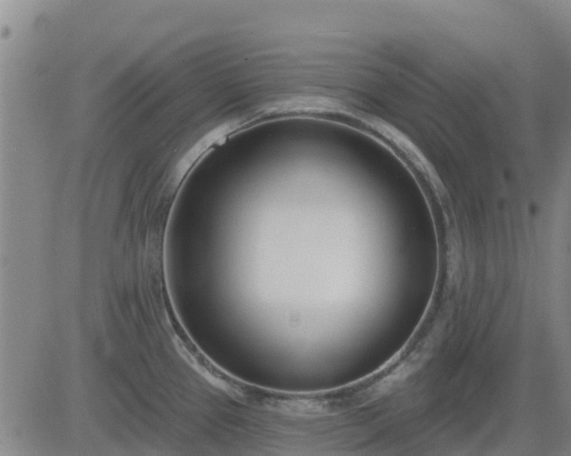 X0000083531337200702161903