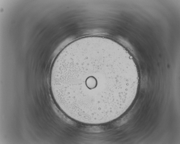 X0000083531338200702161903