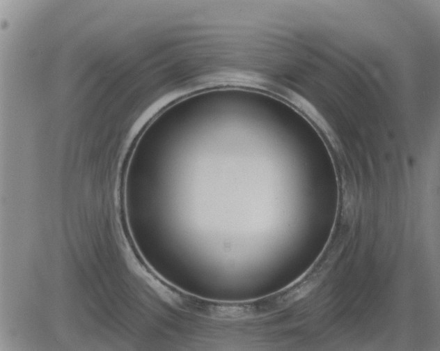 X0000083531339200702161903