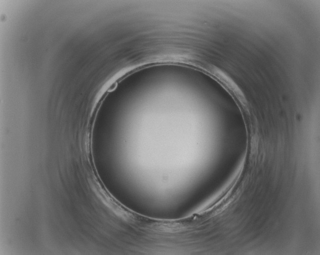 X0000083531340200702161903