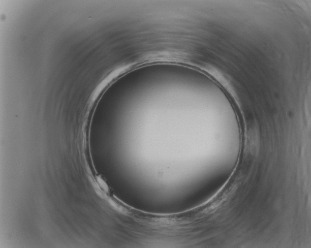 X0000083531341200702161903