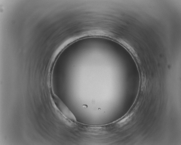 X0000083531342200702161903