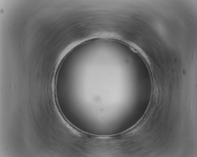 X0000083531343200702161903